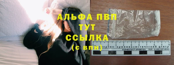 СК Абинск