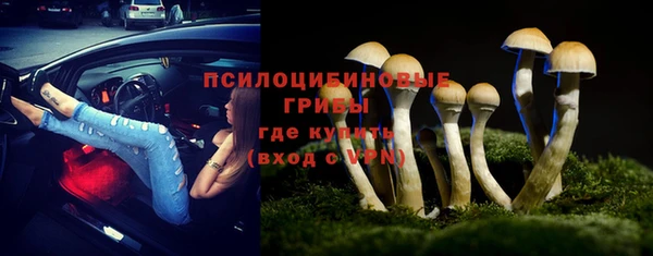МДПВ Покров
